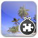 Lightning Bug - Beach Pack icon