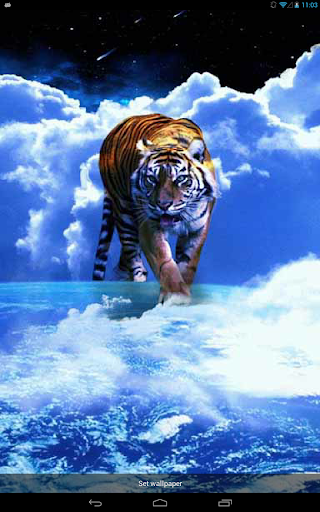 Tiger in the Sky Live WP