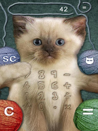 Kitten Calculator poster 10