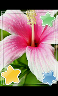 How to mod Word Photo Frame 1.0 unlimited apk for pc