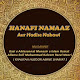 Hanafi Namaz APK