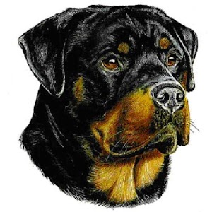 Rottweiler RGO Schweiz.apk 0.82.13468.85070