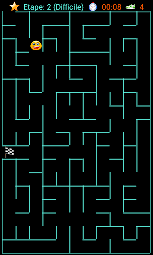 A Maze In labyrinth game