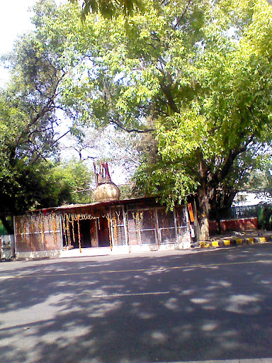 Hindu Temple at Tughlak Road