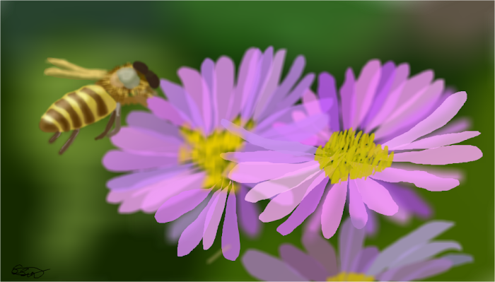 Flower wild and free