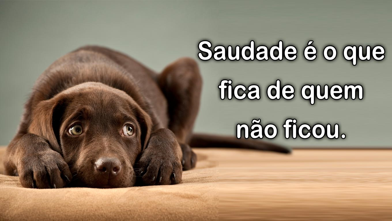 Imagens frases saudade screenshot