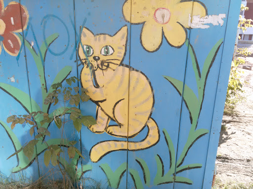 Graffiti Yellow Cat