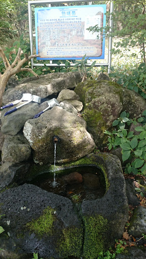 Mountain Water Source