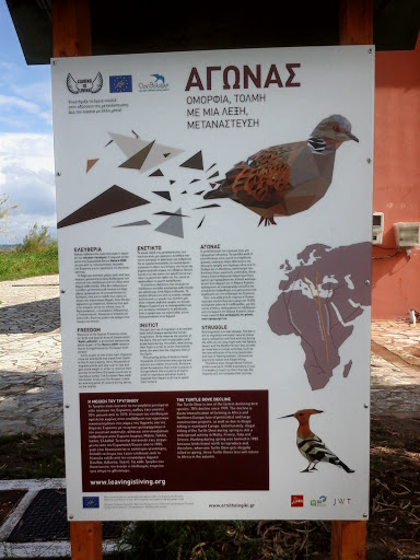 Information Bord About Dove Turtle