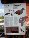 Information Bord About Dove Turtle