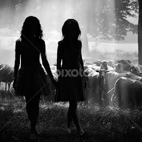 Girls silhouettes by Cristi Vescan - Black & White Portraits & People