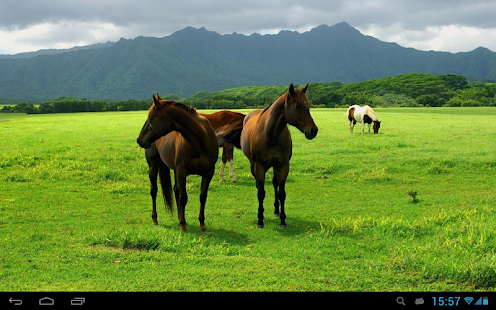 Horses Live Wallpaper Screenshots 3