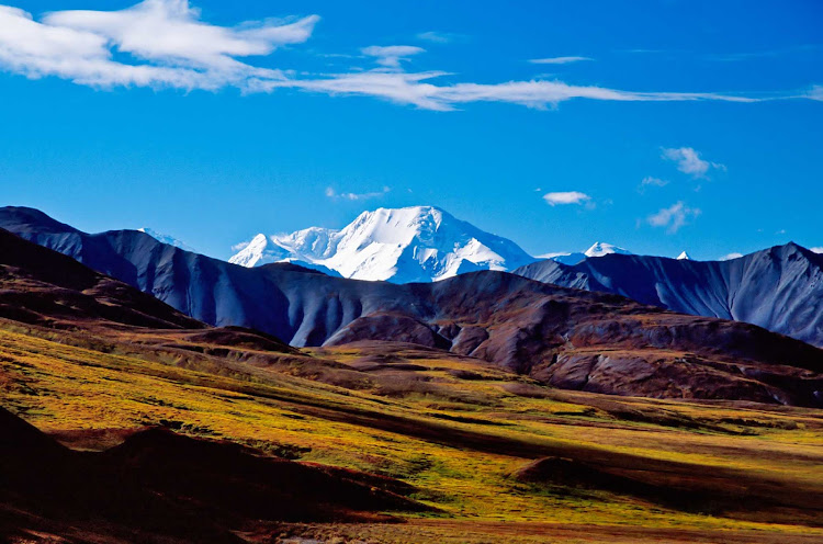 Ice-capped mountains frame beautiful meadows in Denali National Park, Alaska.