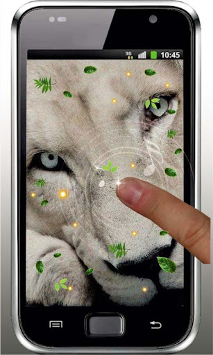 【免費個人化App】Lion Super HQ live wallpaper-APP點子