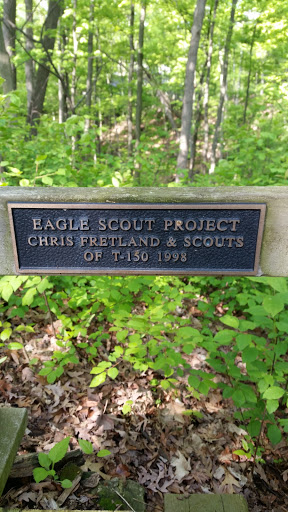 Eagle Scout Ravine Bridge Project