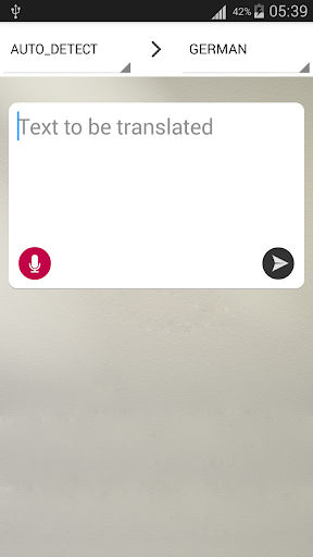 Instant translator