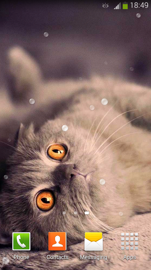 Cute Cats Live Wallpaper Android Apps on Google Play Cute Cats Live Wallpaper Android Apps on Google Play