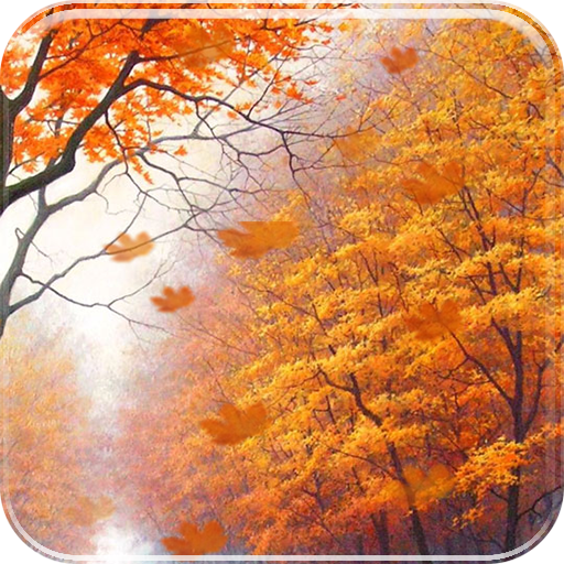 Autumn Leaves Live Wallpaper LOGO-APP點子