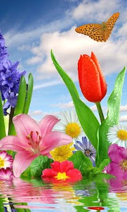 How to download Wallpapers HD patch 1.3 apk for pc