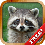 Cover Image of Download Animals for Kids - Flashcards 5.2 APK