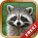 Animals for Kids - Flashcards mobile app icon
