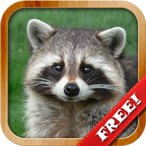 Animals for Kids - Flashcards Hacks and cheats