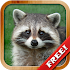 Animals for Kids - Flashcards4.0