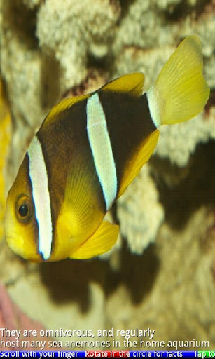 免費下載教育APP|Marine Aquarium Fish 2 FREE app開箱文|APP開箱王