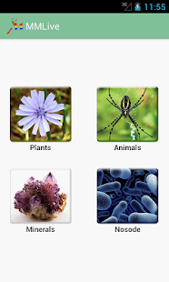 How to install Homeopathic MMLive Pro 1.1 mod apk for bluestacks