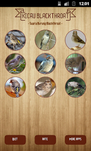 How to install Serinus Atrogularis lastet apk for pc