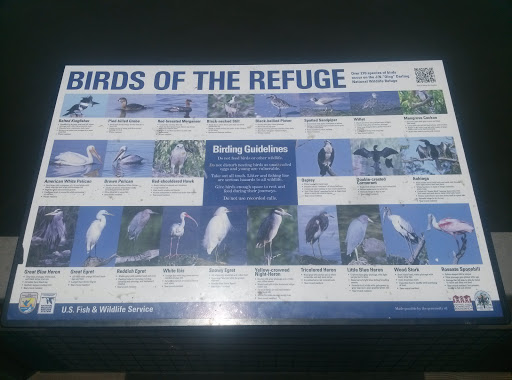 Birds of the Refuge 2
