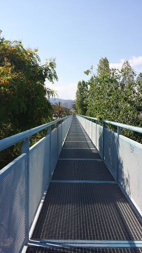 Puente Sobre El Parque