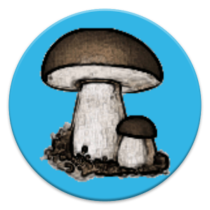 Mushrooms 1.0.12