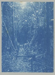 Meetlijn bij de Witwatra