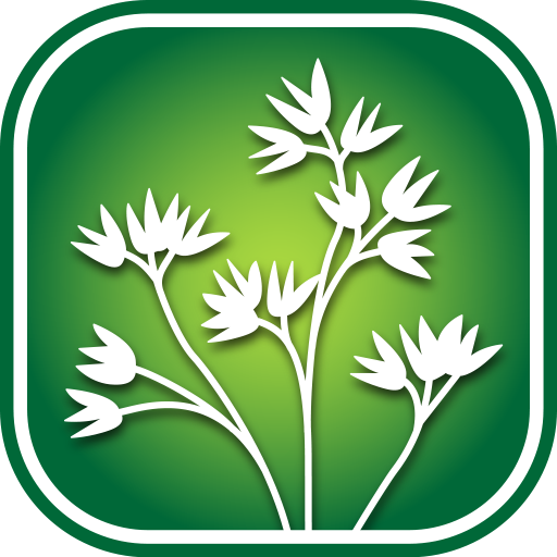 2800 S. California Wildflowers 生活 App LOGO-APP開箱王