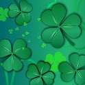 Lucky Shamrocks Live Wallpaper