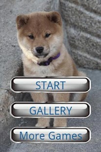 How to install Dog Puzzle: Akita patch 3.0.1.0 apk for laptop