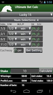 Ultimate Bet Calculator Screen 3