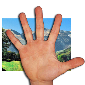 Touch Free Gallery 1.0