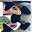 Inner Ear Drag &amp; Drop Download on Windows