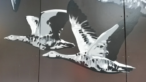 Bird Mural Wall