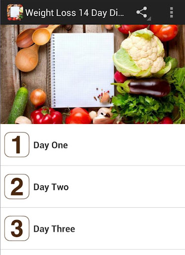 Weight Loss 14 Day Diet Plan