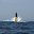 MarineSecurity Download on Windows