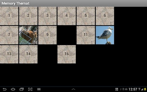 Free Download Memory Thernat APK for Android