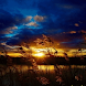 Sunset Field Live Wallpaper