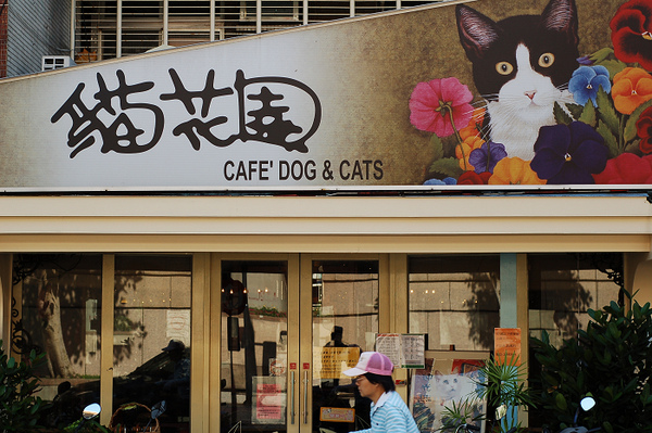 [台北] 芝山 寵物餐廳*貓花園