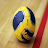 Descargar Balonmano Internacional APK para Windows