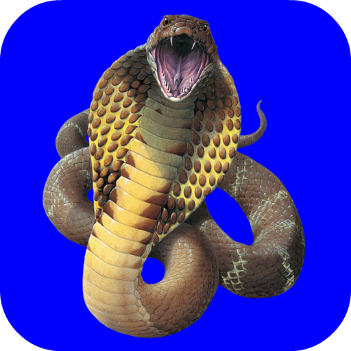 snakes scare 娛樂 App LOGO-APP開箱王