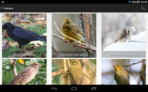 Птицы Украины Screenshots 1