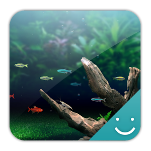 NATURE AQUARIUM Theme 1.0